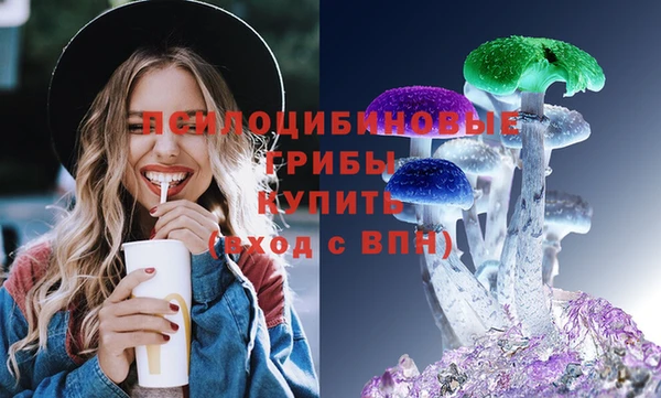 соль курить ск Белокуриха