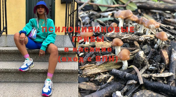 соль курить ск Белокуриха