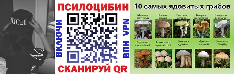 купить наркоту Тамбов Галлюциногенные грибы GOLDEN TEACHER